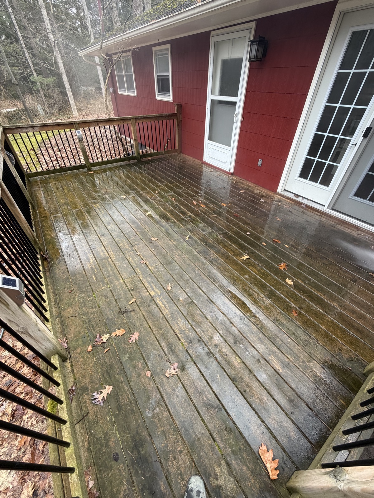 Weathered, algae-covered wood deck before soft washing