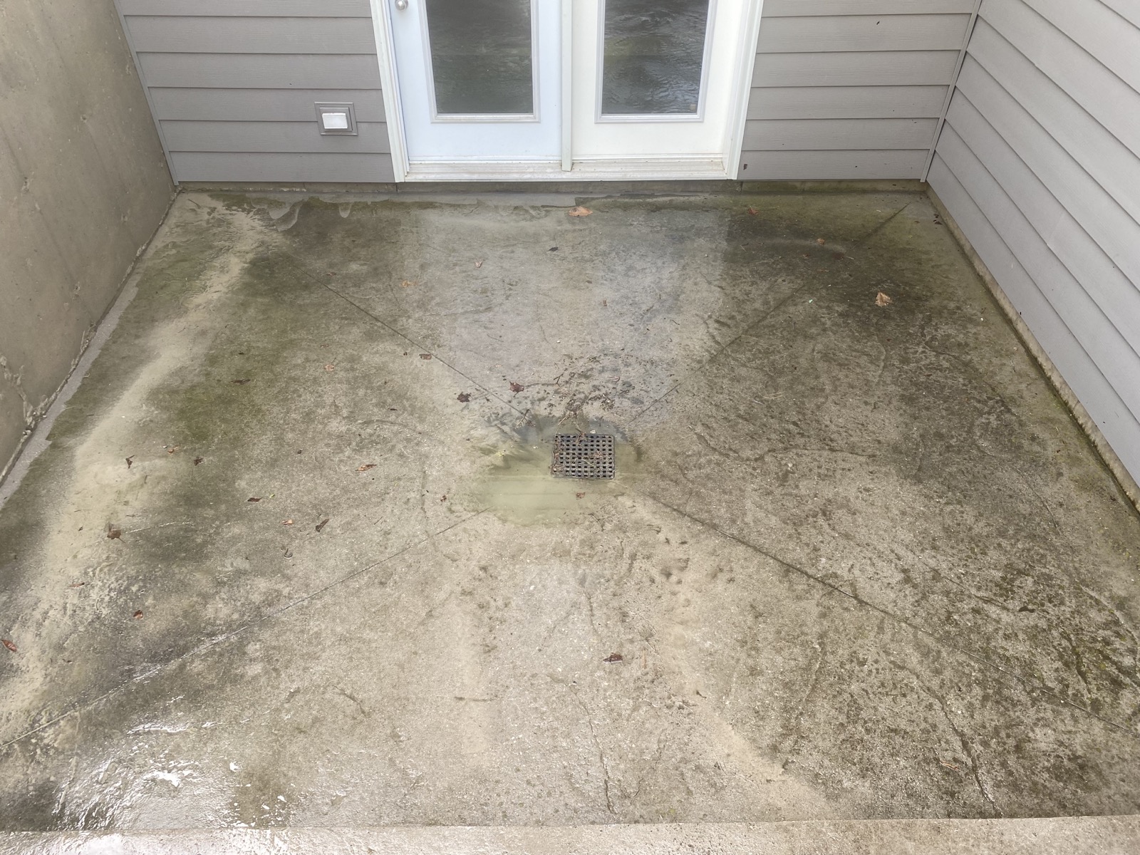 Algae- and moss-stained concrete patio before soft washing